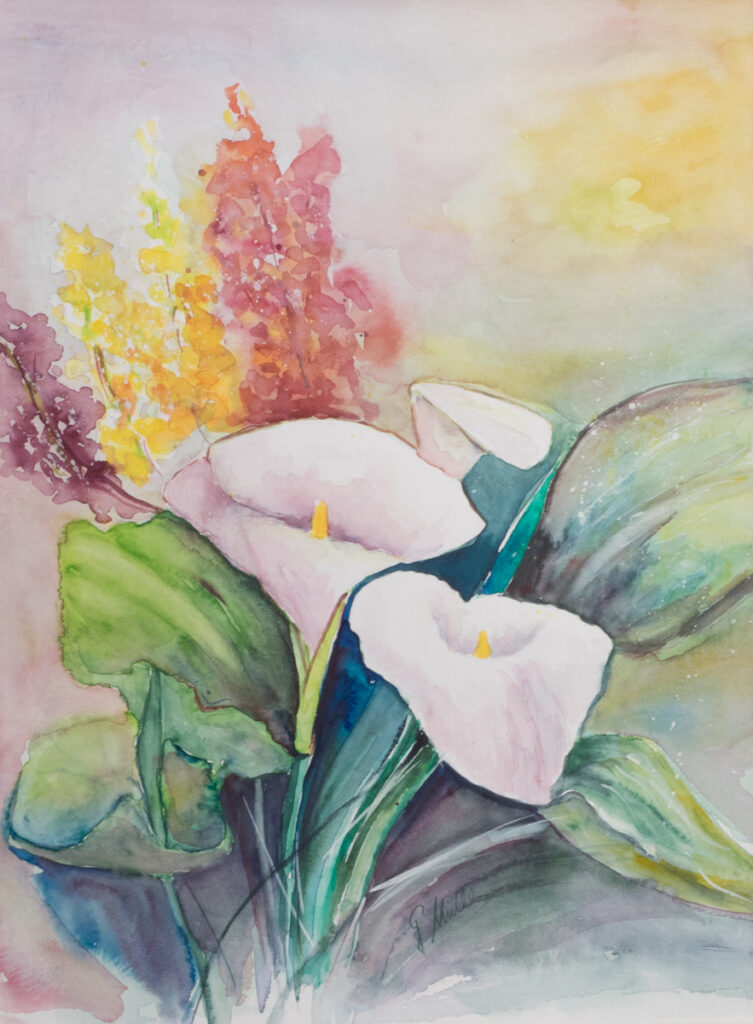 25_Aql_plus1_Calla_aethiopica_I_0001