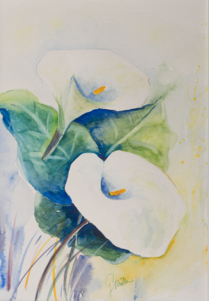 26_Aql_plus1_Calla_aethiopica_II_0001