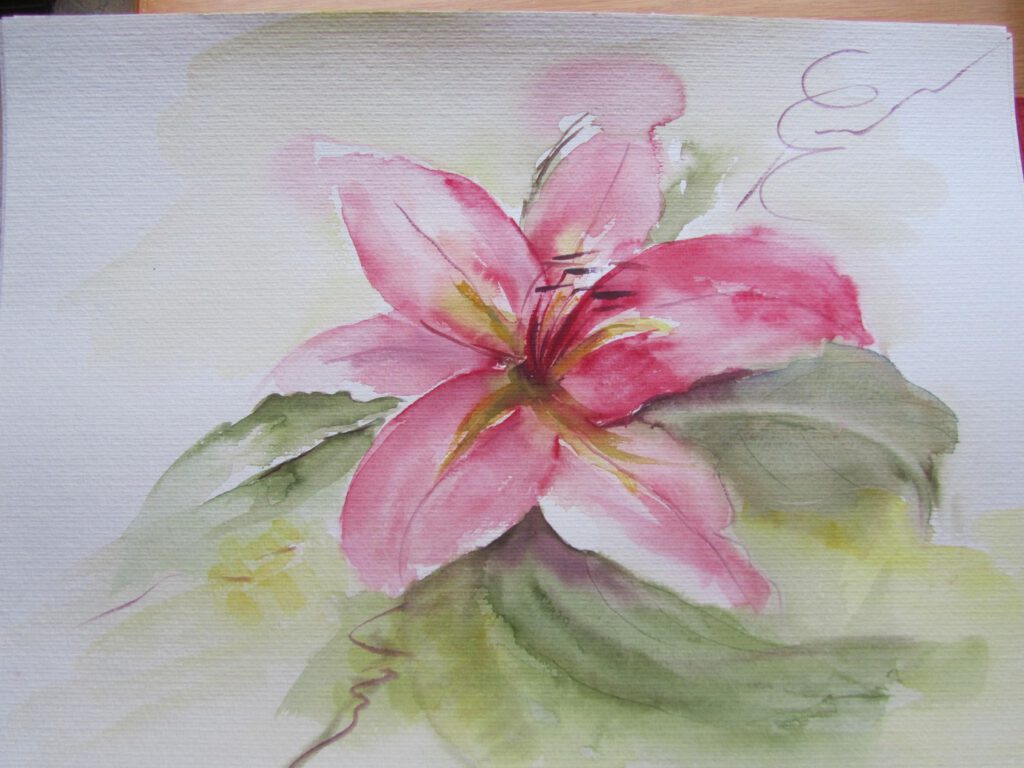 Aqu_L_Hibiskus_36x48_a