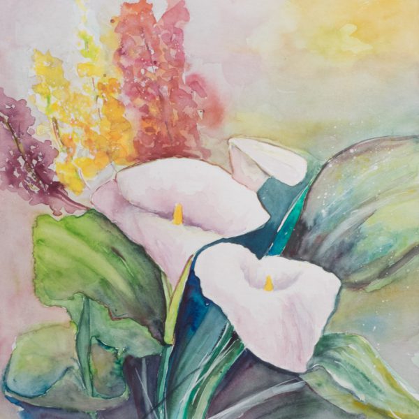 25_Aql_plus1_Calla_aethiopica_I_0001