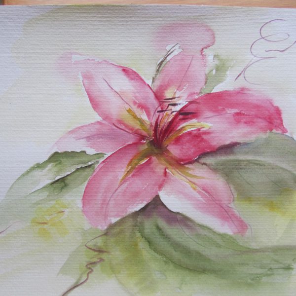 Aqu_L_Hibiskus_36x48_a